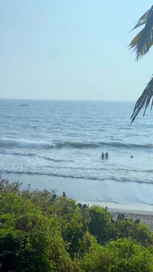 Waves rolling onto a palm-fringed shore