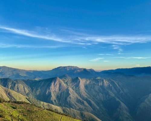 samya retreats yoga munnar kolukkumalai